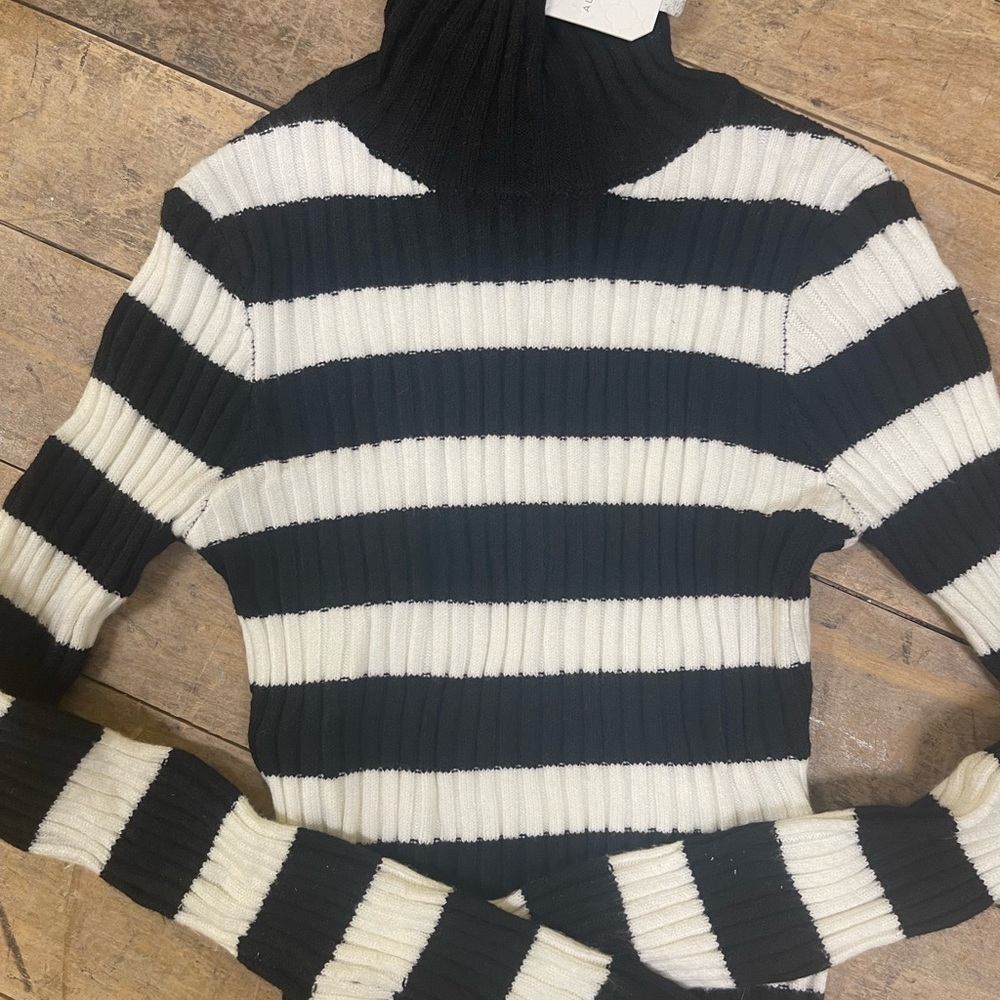 Altar'd State Black and White Striped Turtleneck Sweater